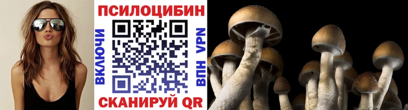 Псилоцибиновые грибы Psilocybe цены Малаховка